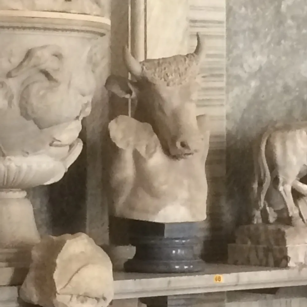 brit-switch-1.bsky.social's profile picture