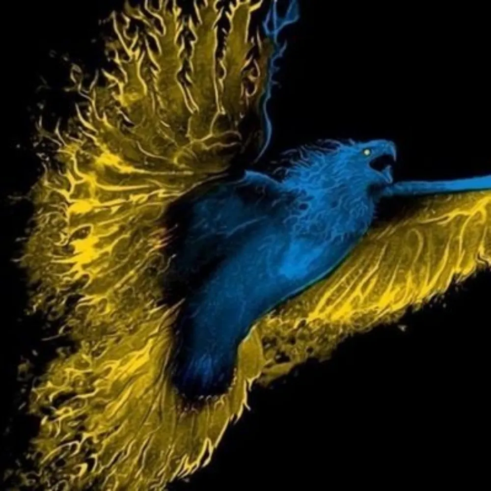 jvc-designbskysoci.bsky.social's profile picture