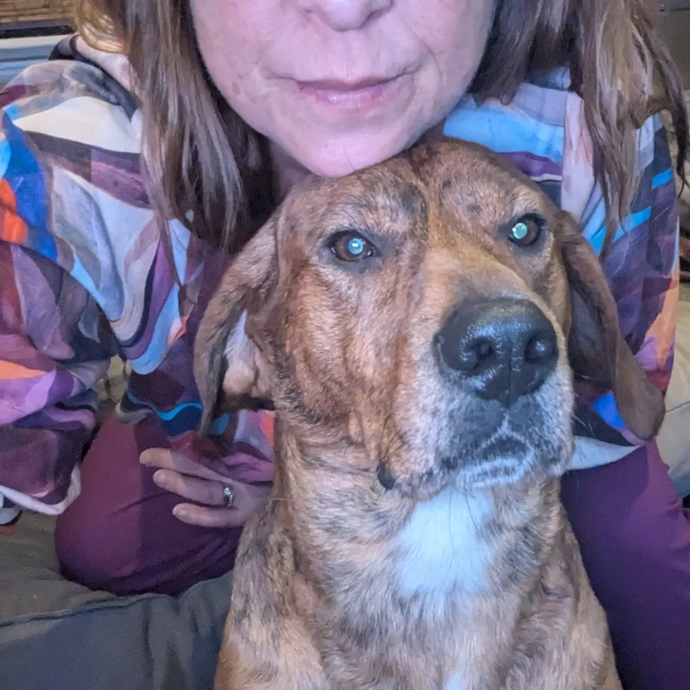 justamyhere.bsky.social's profile picture