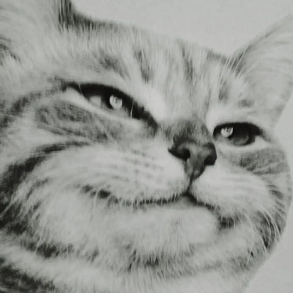 diedfrombeing.labeledrude.online's profile picture