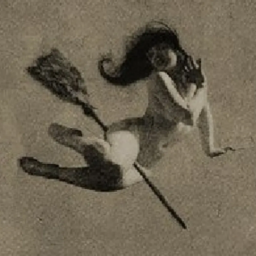 estrigidea.bsky.social's profile picture