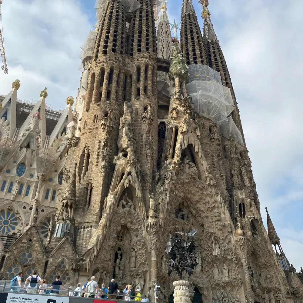 kaicee118.bsky.social's profile picture