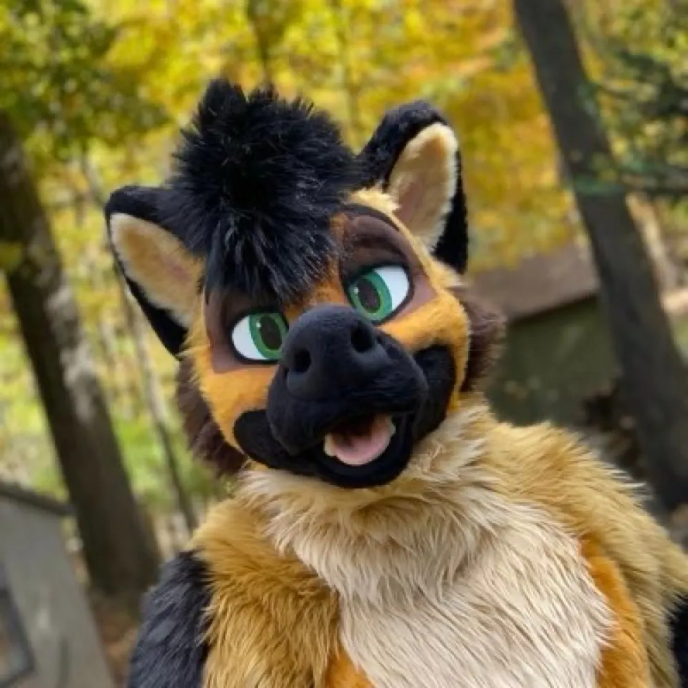 kelthhyena.bsky.social's profile picture