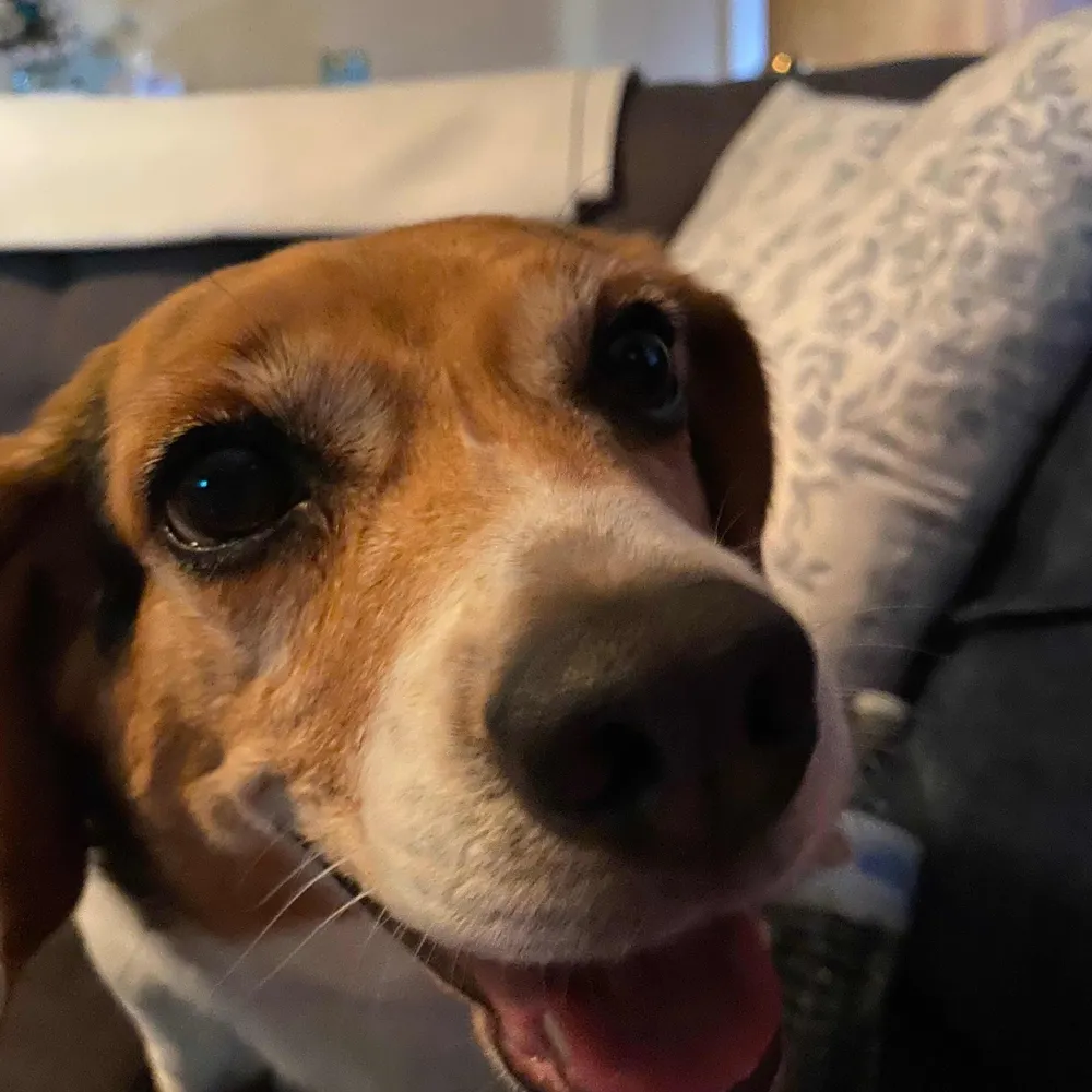 nancyfarmer.bsky.social's profile picture