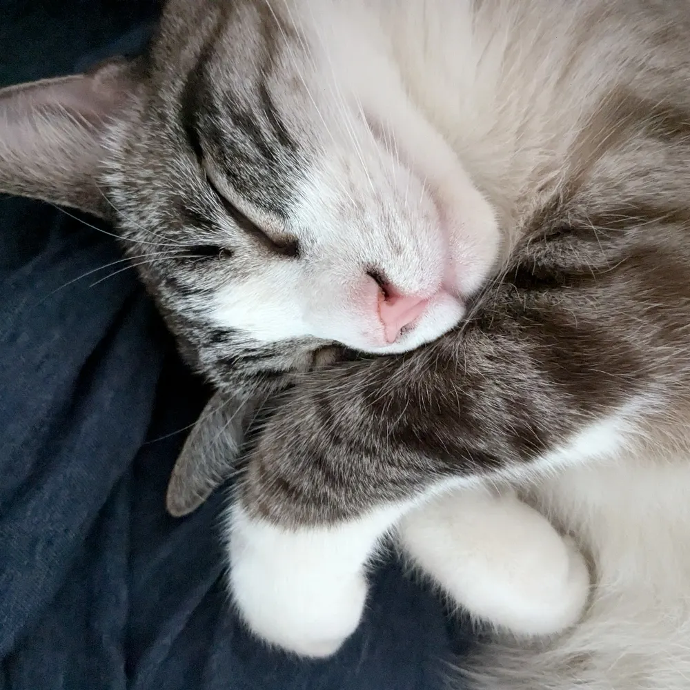 thalience.bsky.social's profile picture