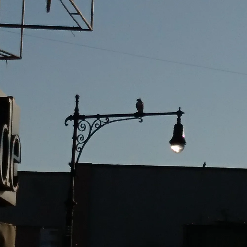 unicrongalactus.bsky.social's profile picture