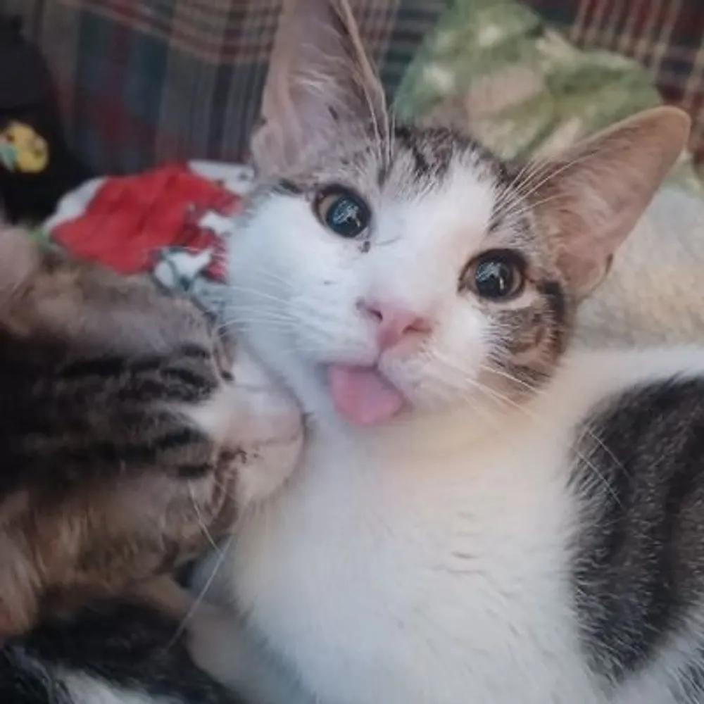 katrina-alpress.bsky.social's profile picture