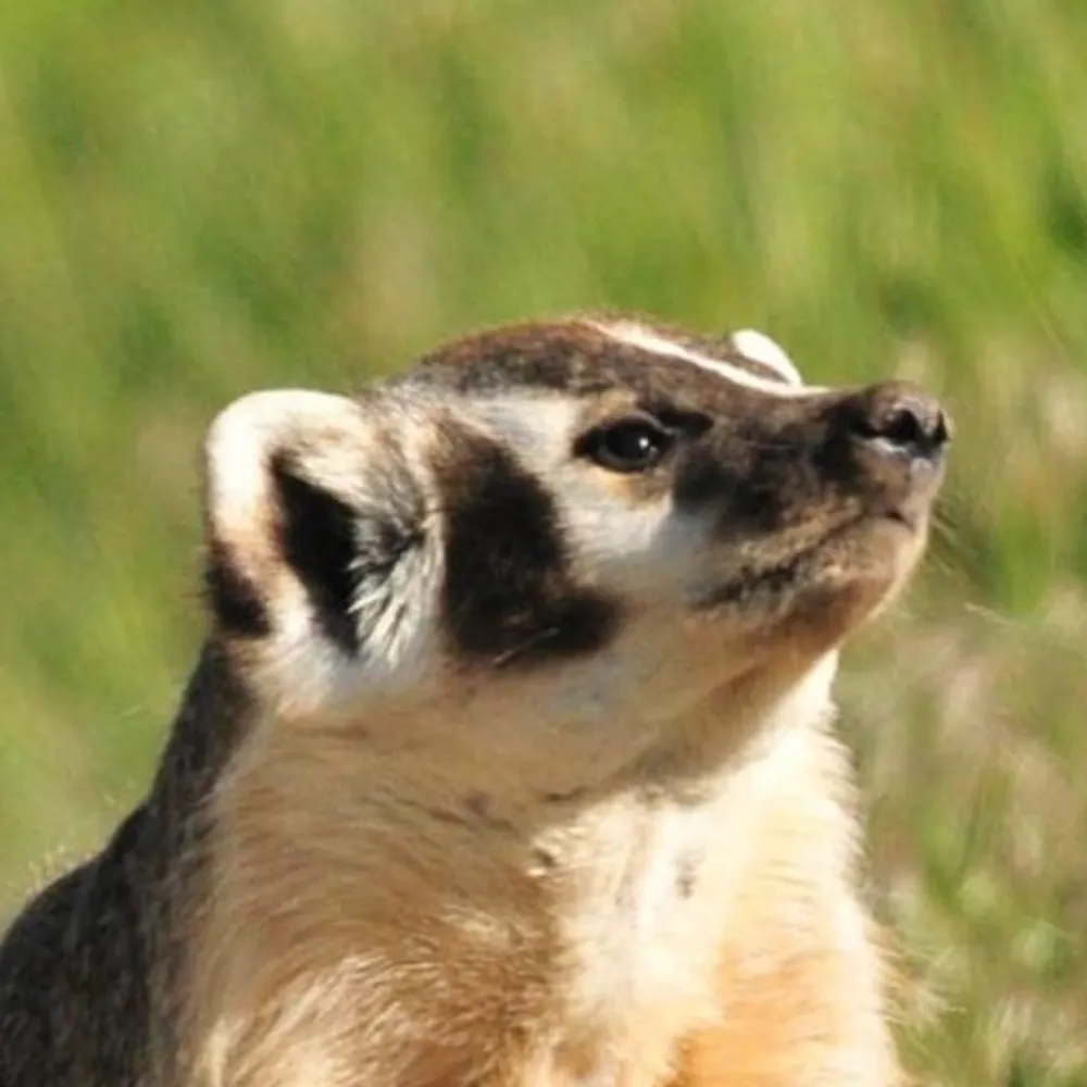 waporefugee.bsky.social's profile picture