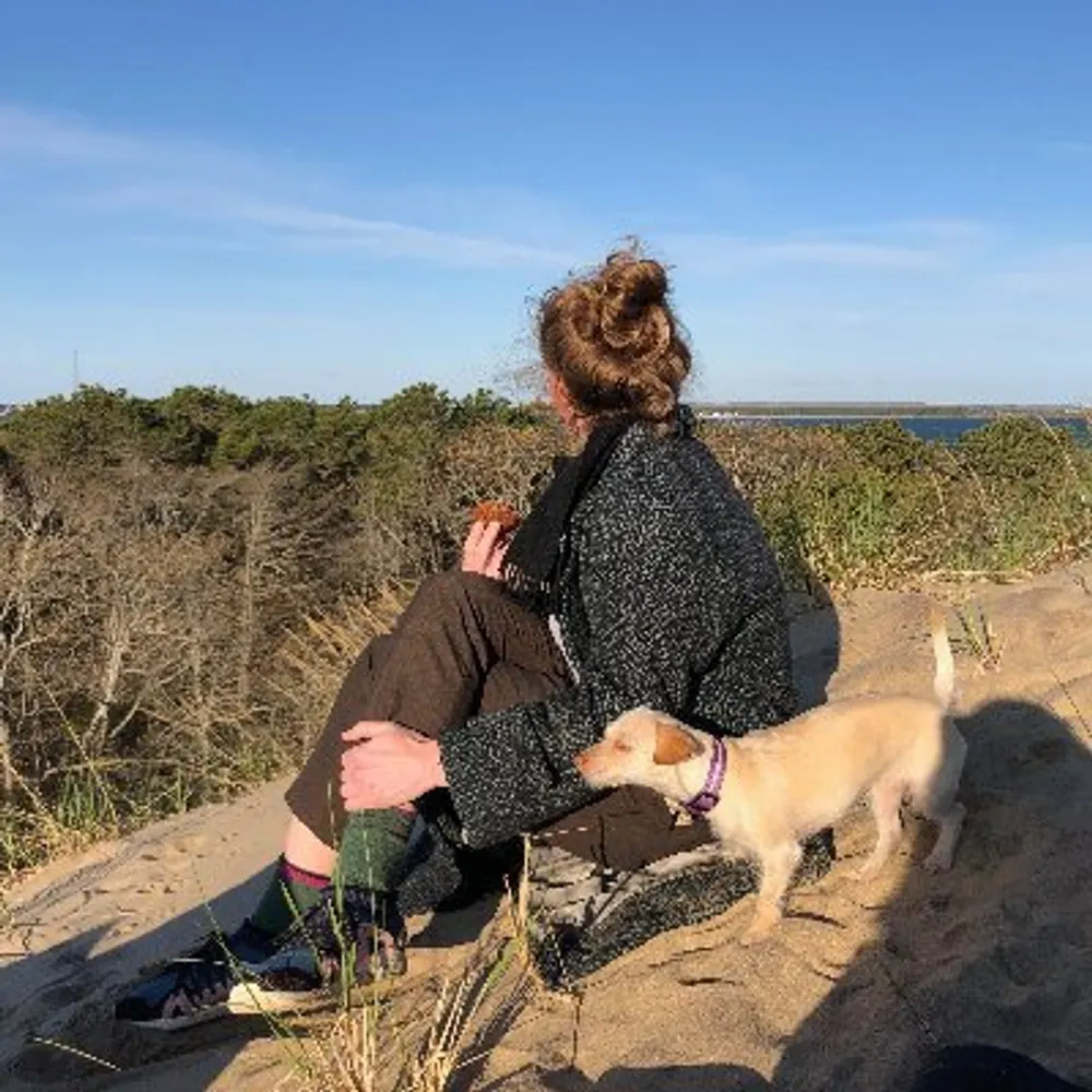 ratlimit.bsky.social's profile picture