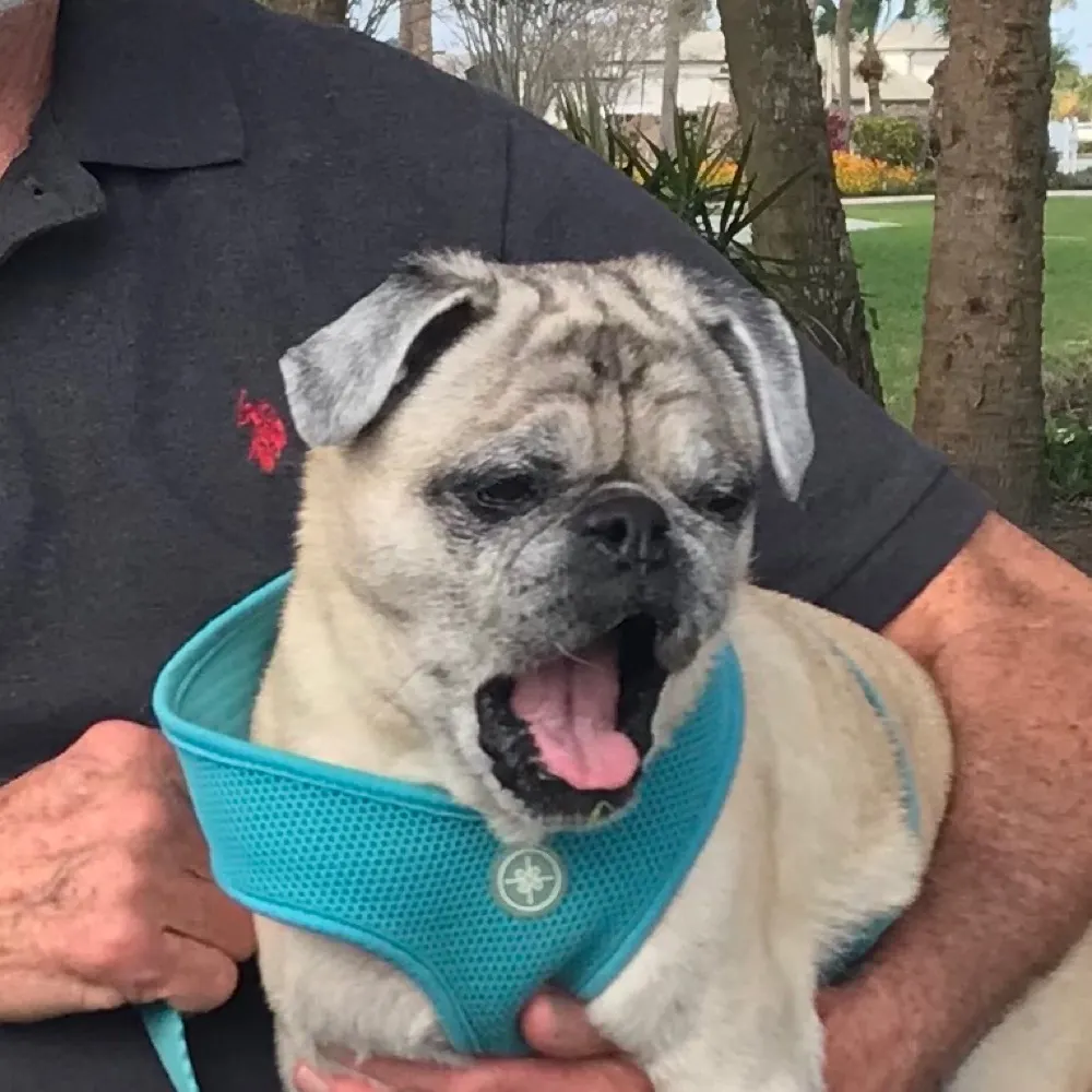 nonessentialworker.bsky.social's profile picture