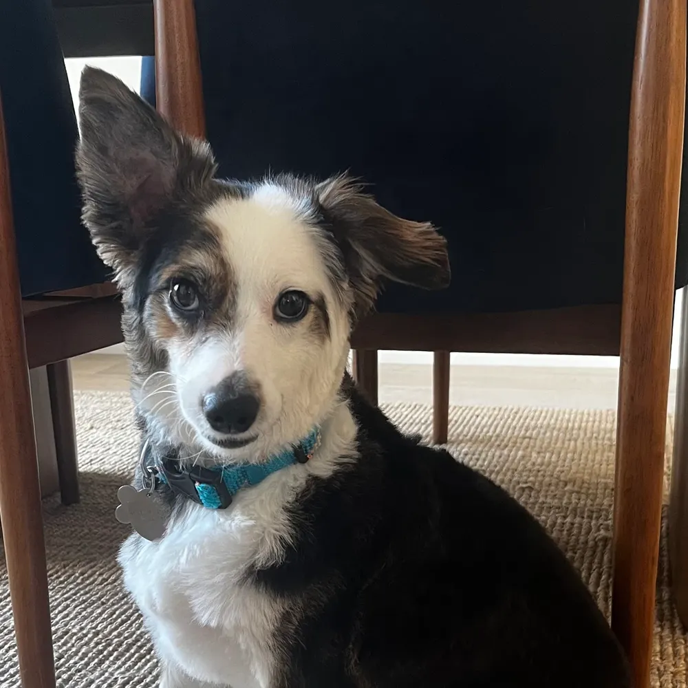 marikayes.bsky.social's profile picture