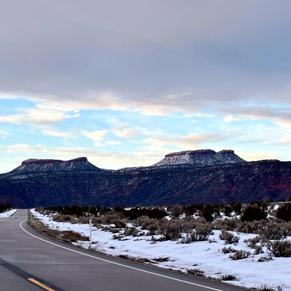 ps-ne.bsky.social's profile picture