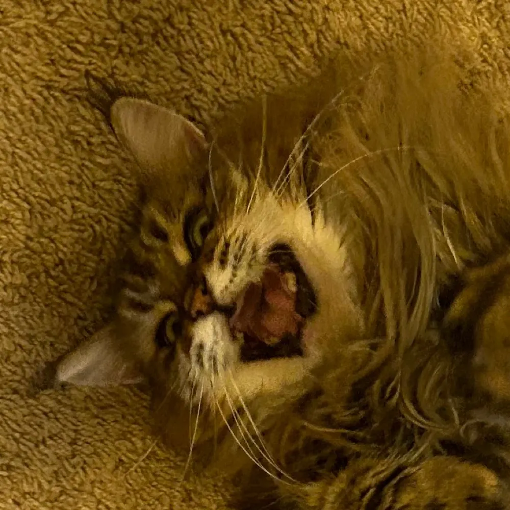 mvann.bsky.social's profile picture