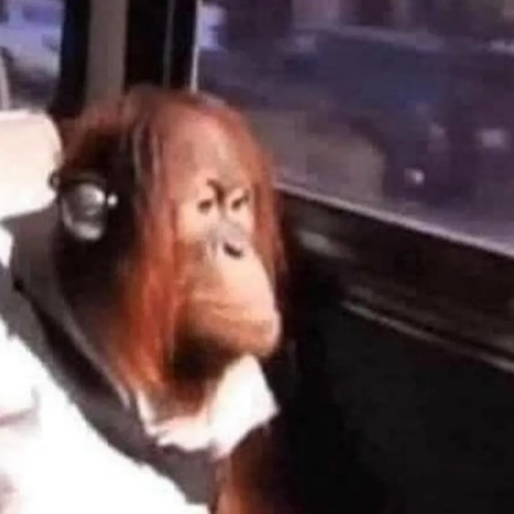 idahopotatoes.bsky.social's profile picture