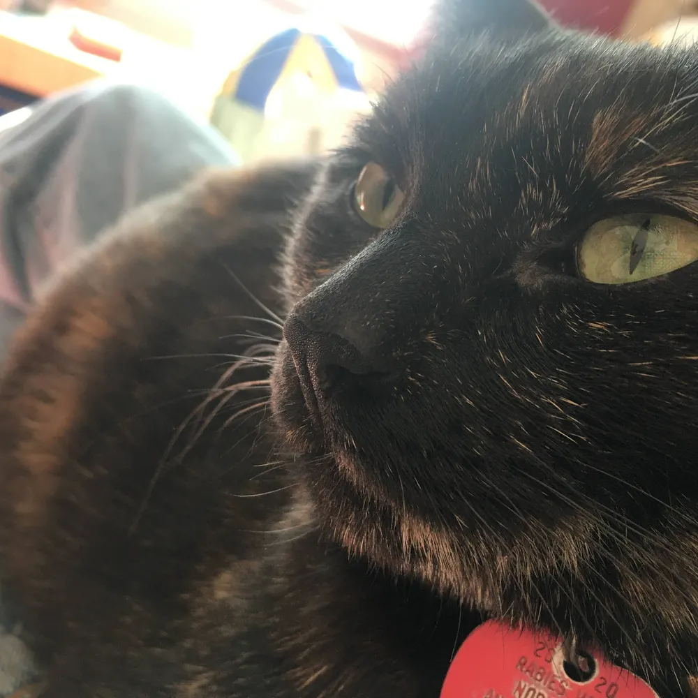 phastinemoon.bsky.social's profile picture