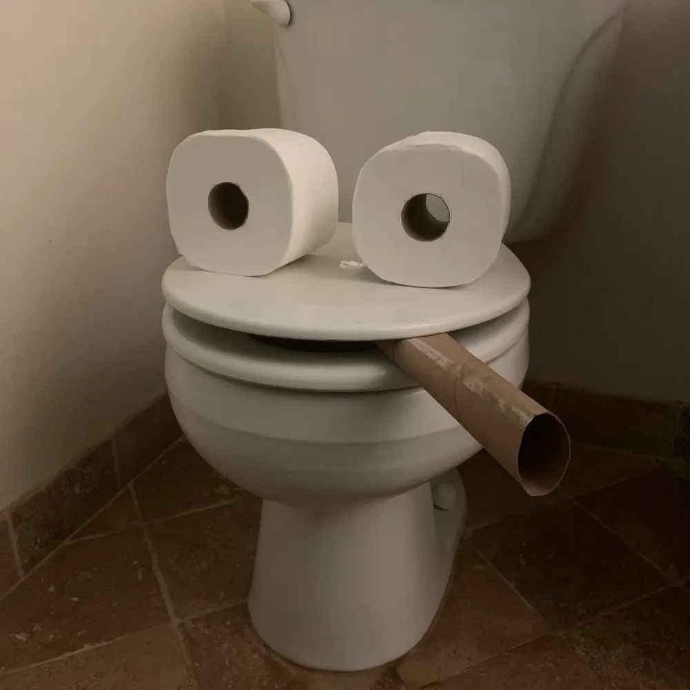 xvf17.bsky.social's profile picture