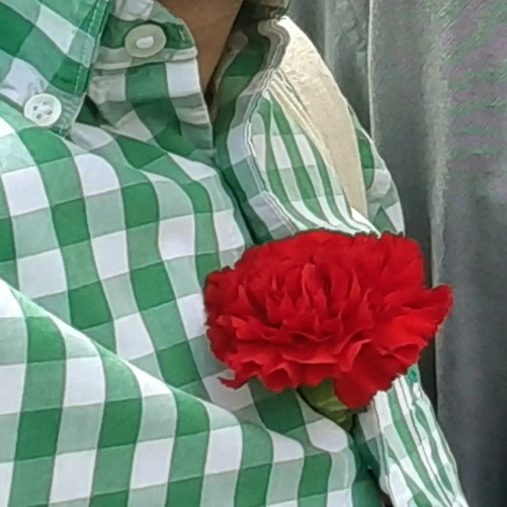 joaofern27.bsky.social's profile picture