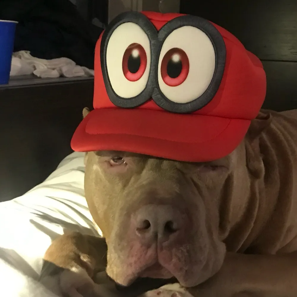 thisismichael12.bsky.social's profile picture