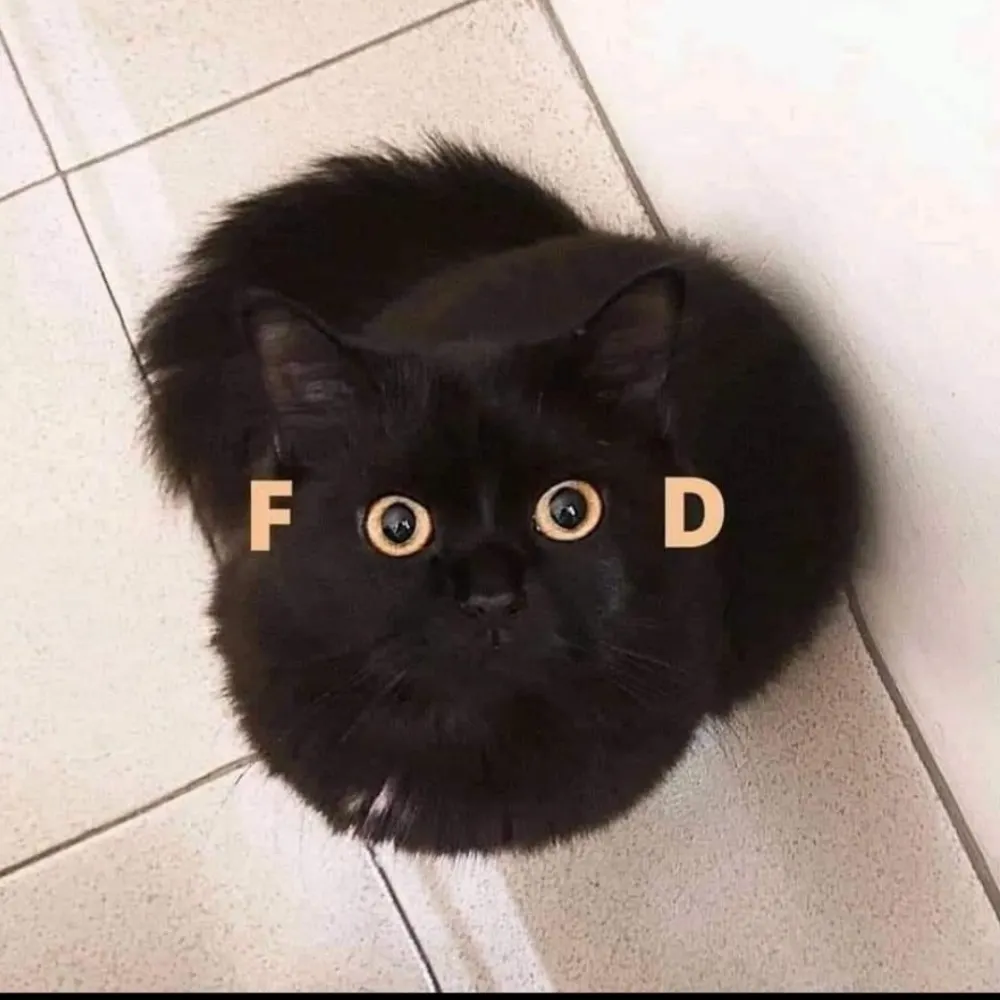 alastoravasarala.bsky.social's profile picture