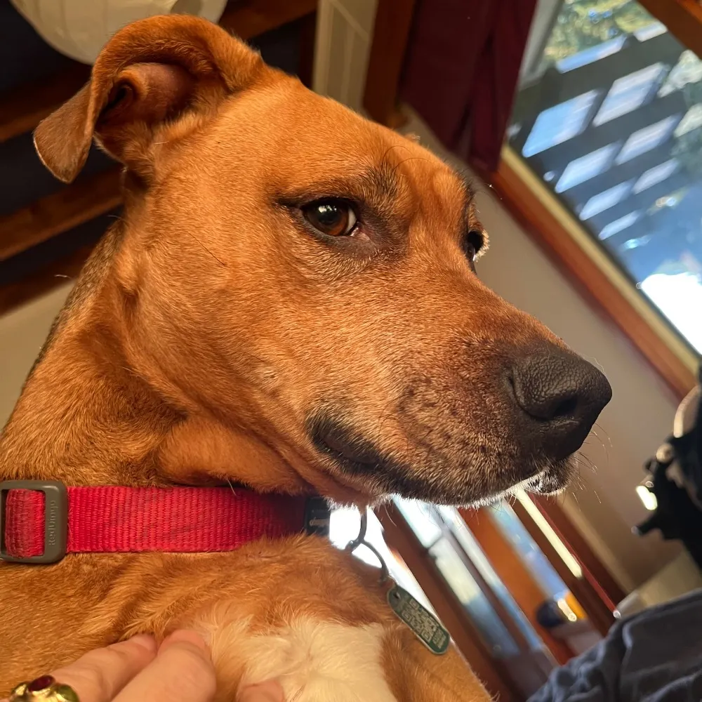 greta-and-stirred.bsky.social's profile picture