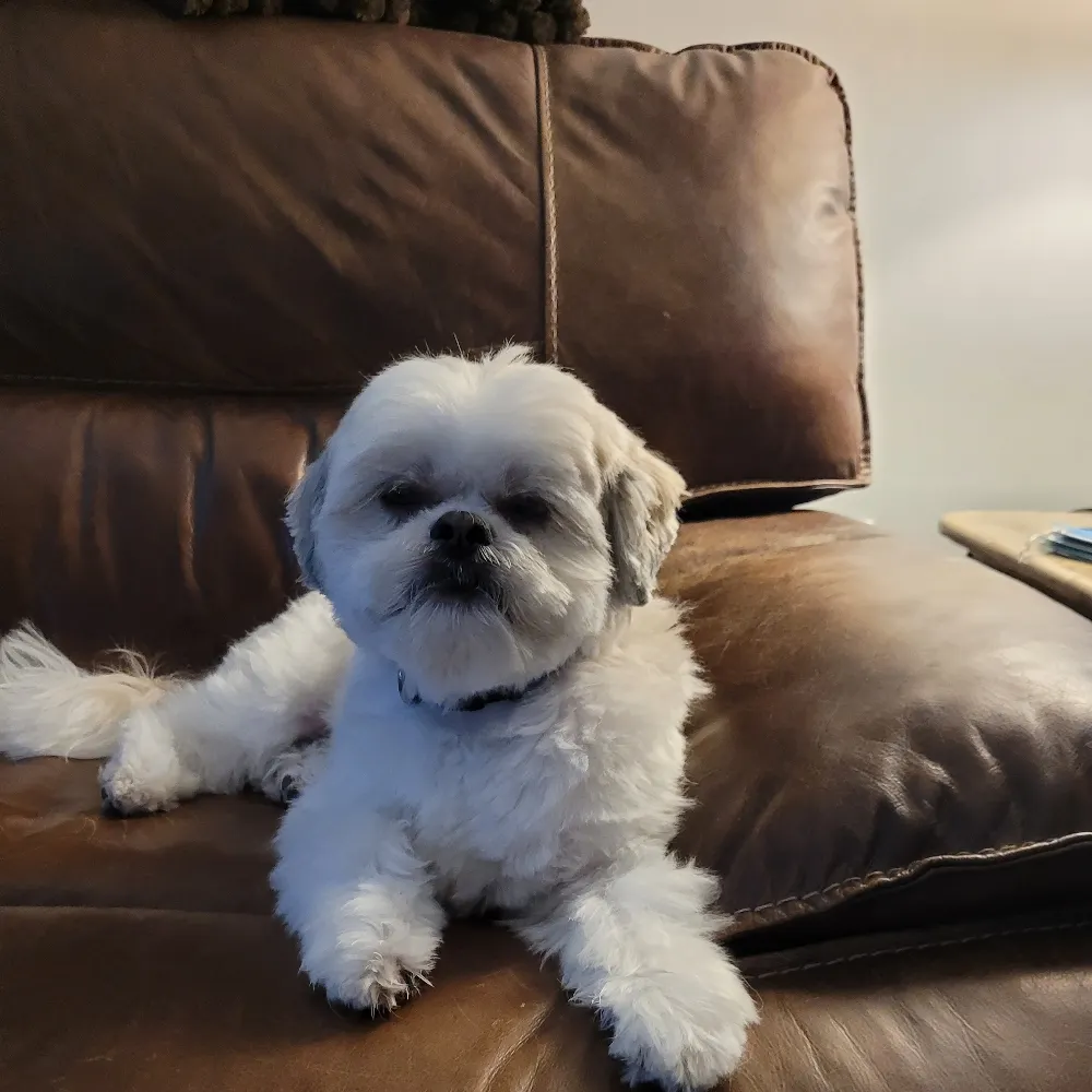 kangoroo17.bsky.social's profile picture