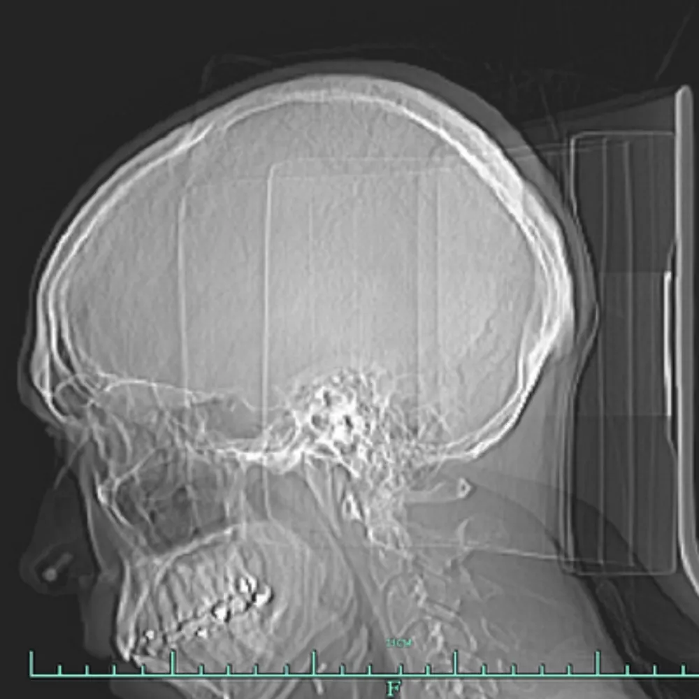 drunkengeebee.bsky.social's profile picture