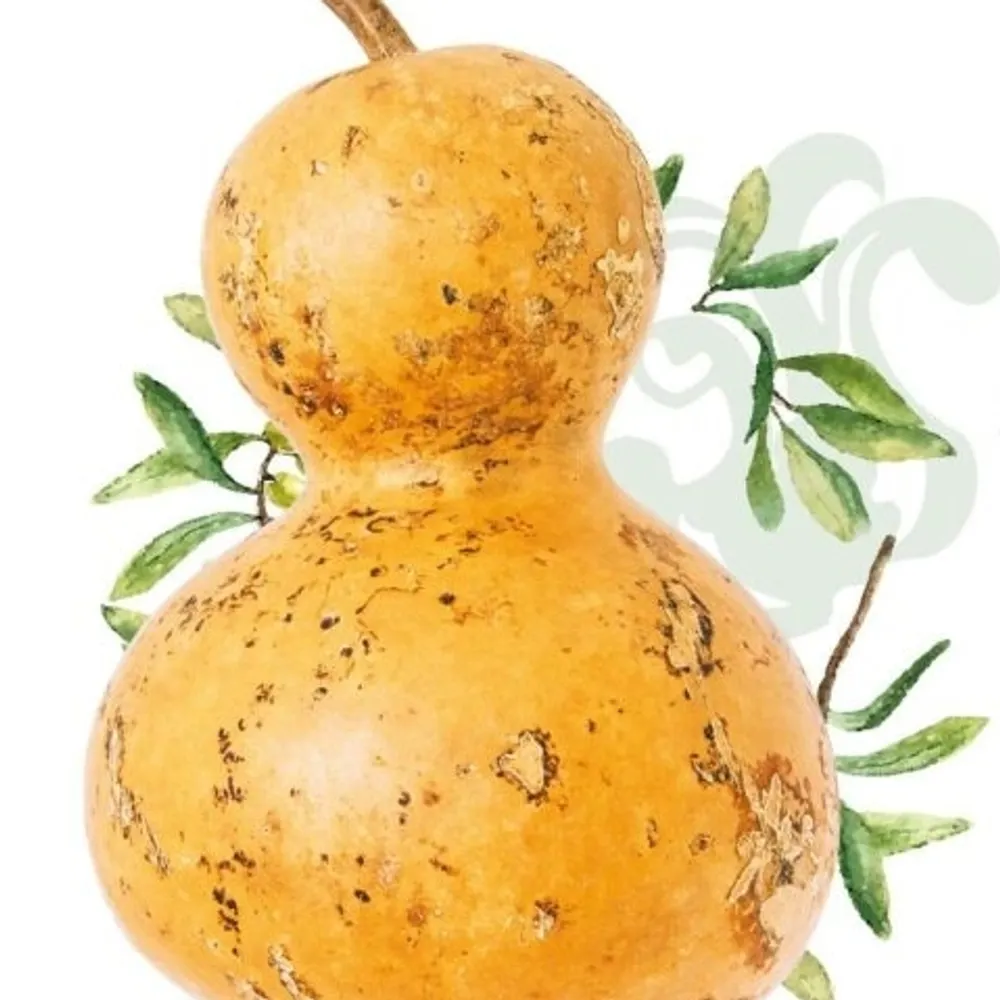 g-palareff.bsky.social's profile picture