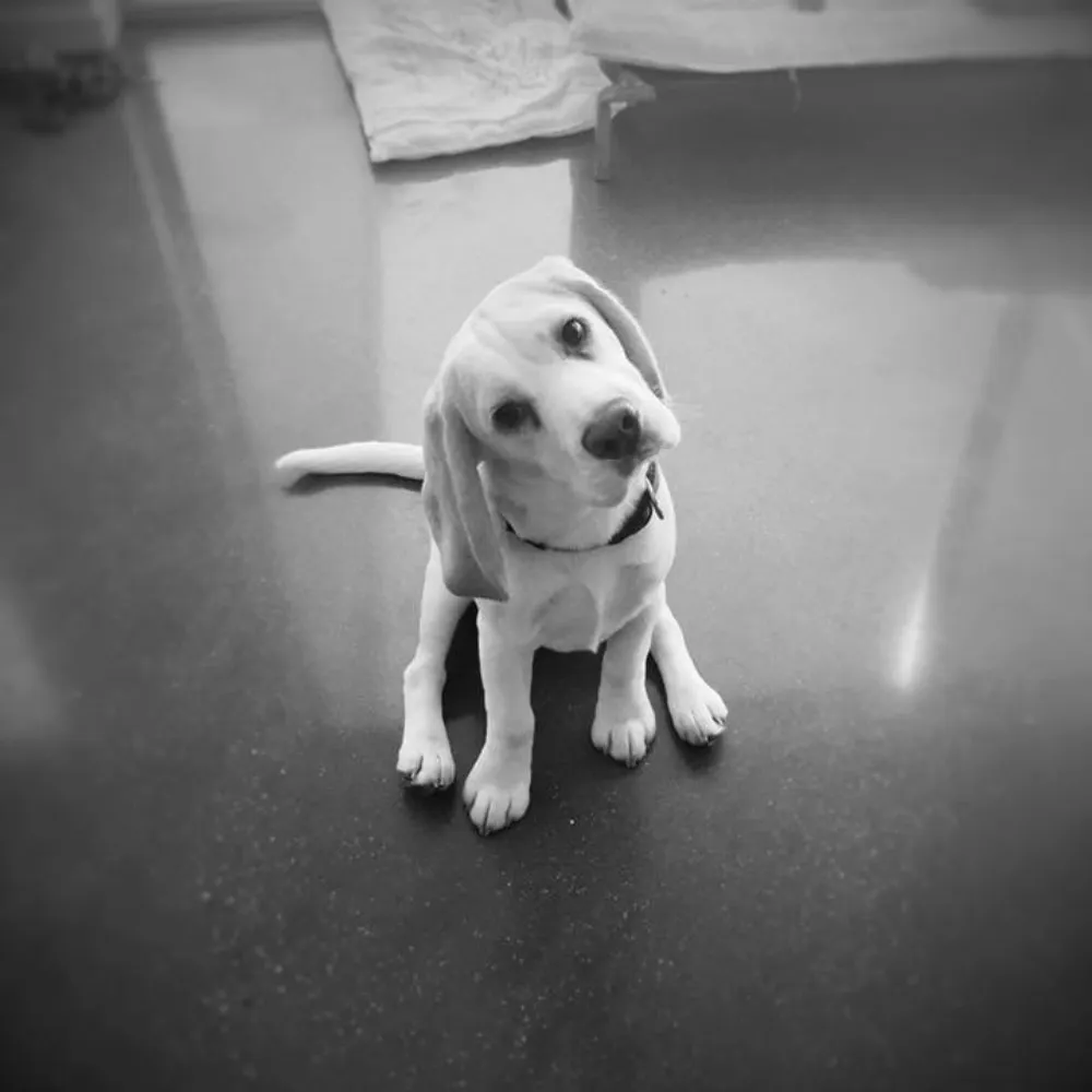 cliffordjones.au's profile picture