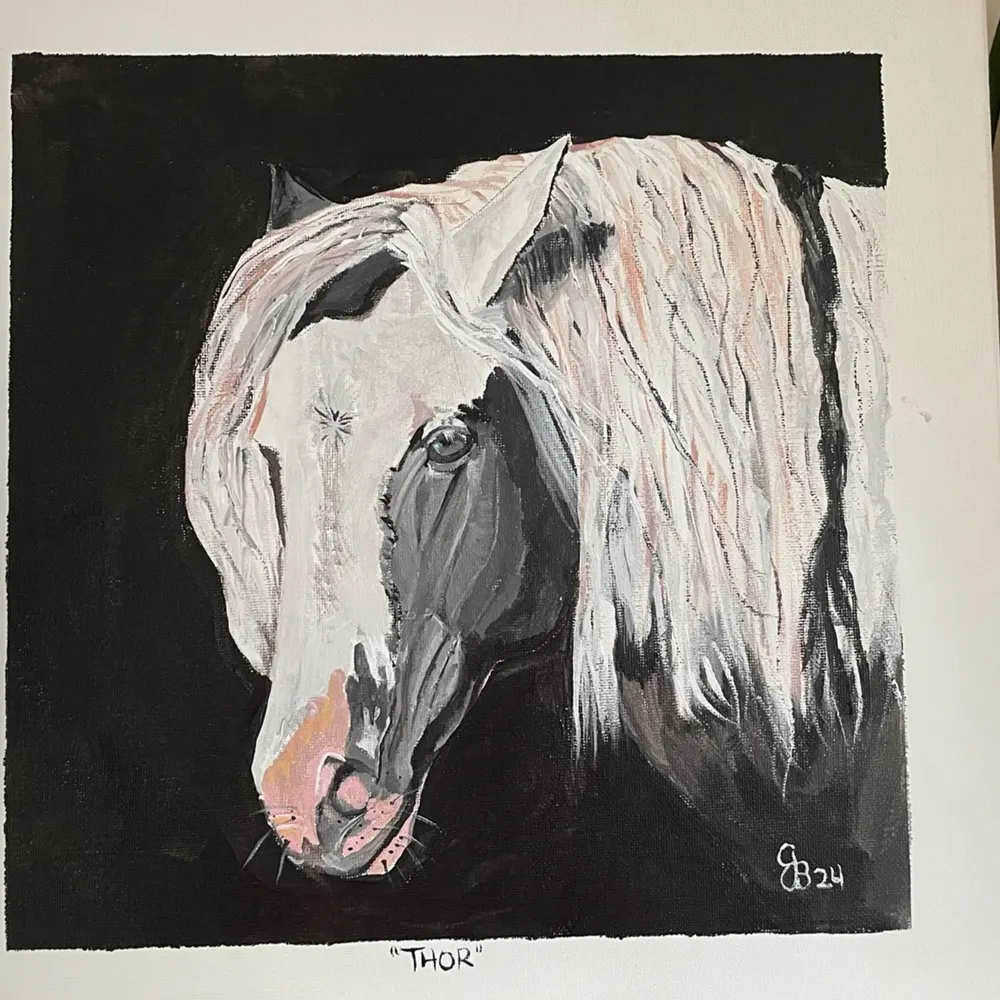 cannuckluck.bsky.social's profile picture