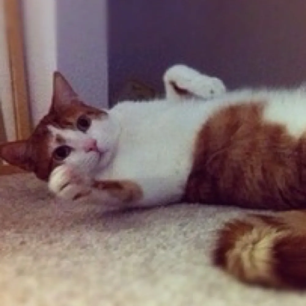 heykatieday.bsky.social's profile picture