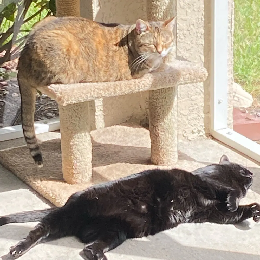 libragal.bsky.social's profile picture