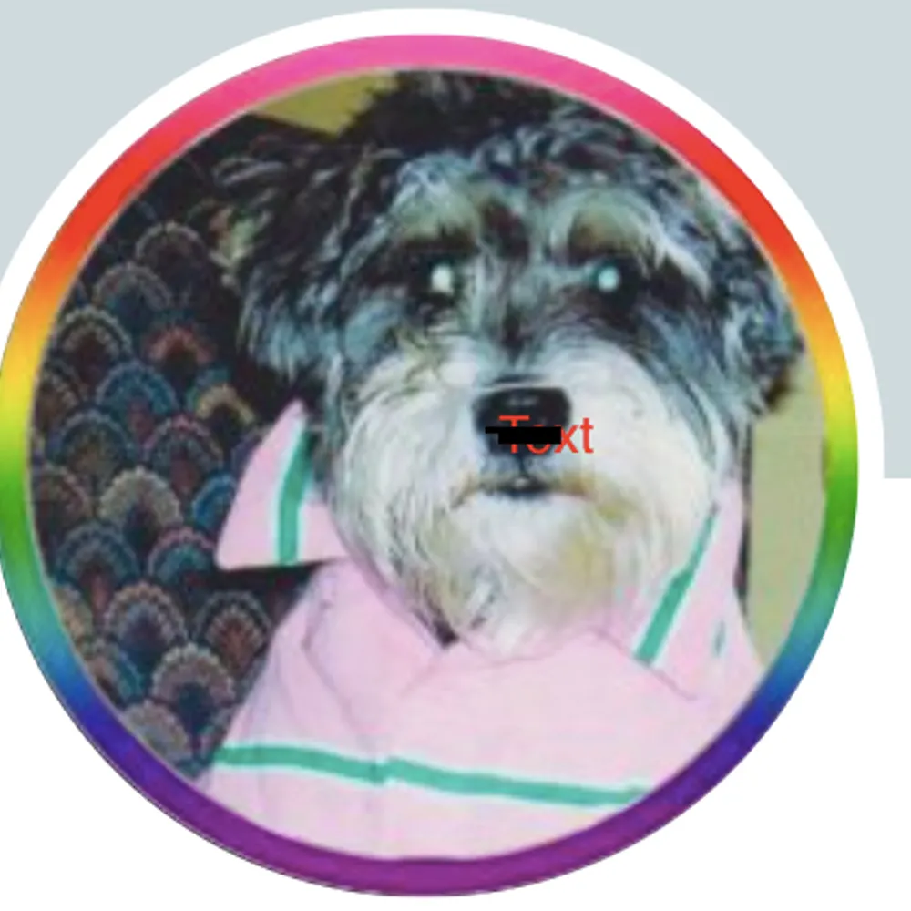 rocketdog3.bsky.social's profile picture