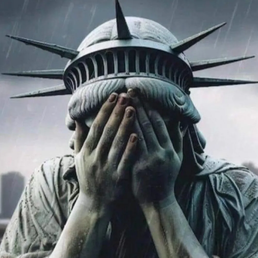 meducks.bsky.social's profile picture