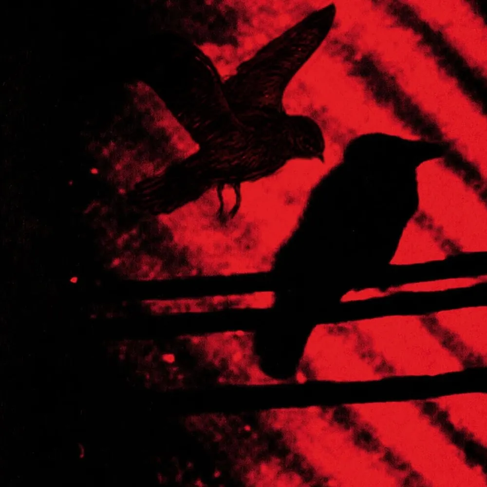 onceuponanaurora.bsky.social's profile picture