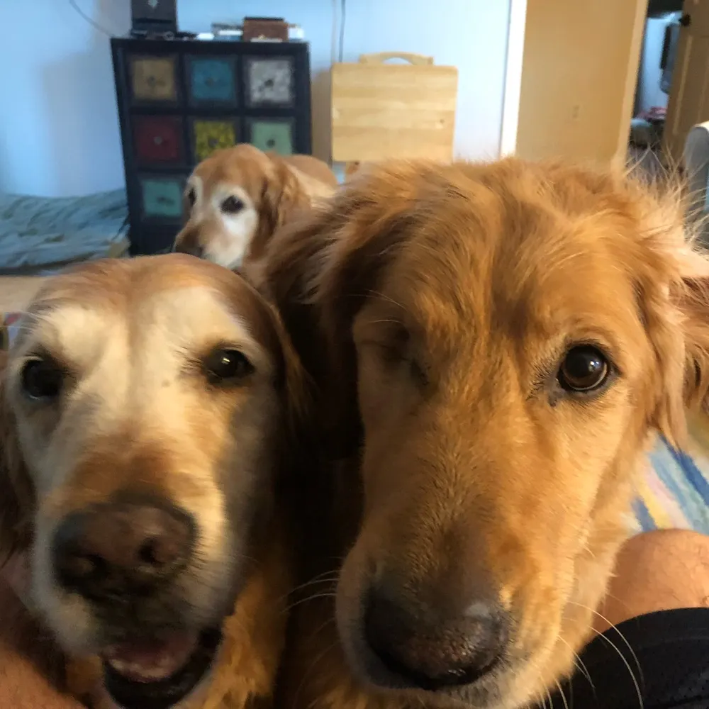 aquastell.bsky.social's profile picture