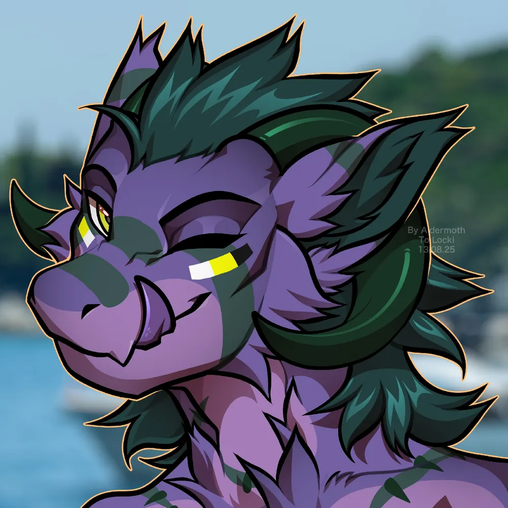 locki.bsky.social's profile picture