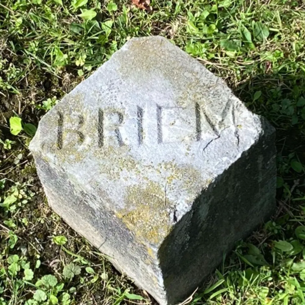 chrisbriem.bsky.social's profile picture