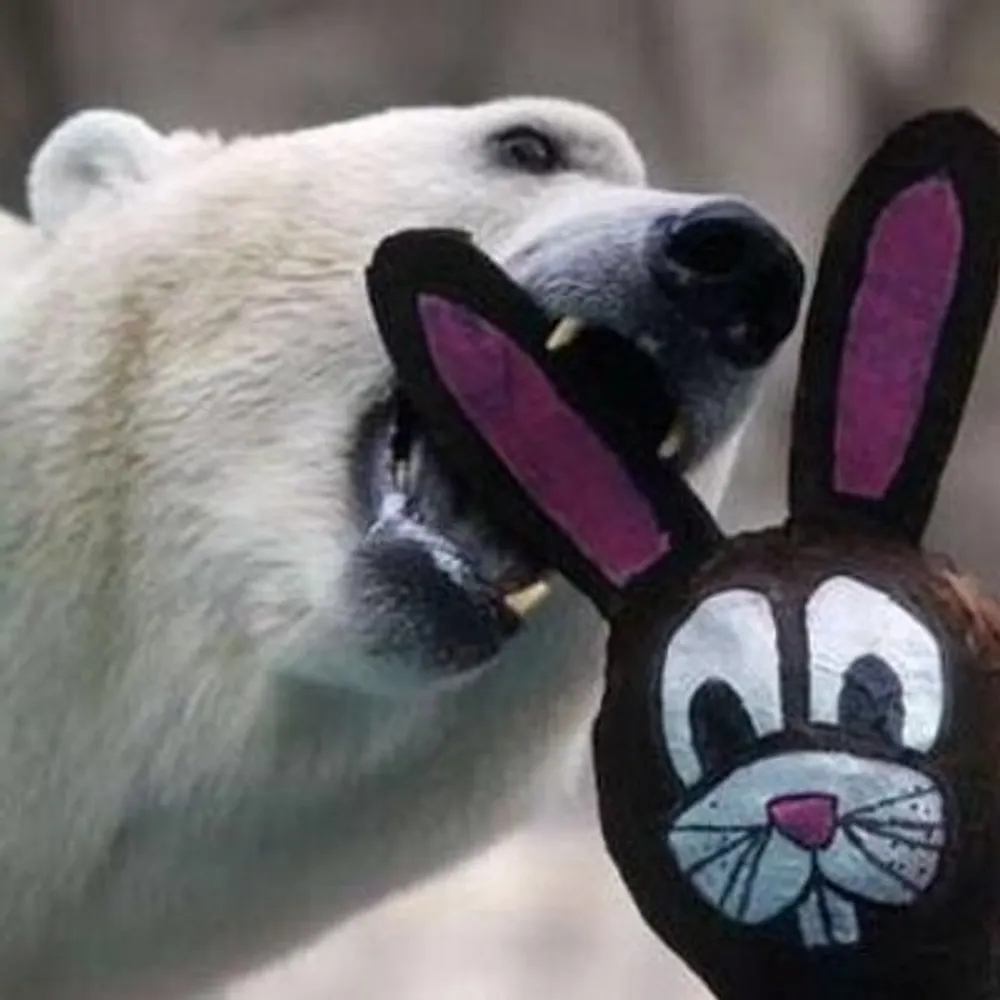 huntergreen11.bsky.social's profile picture