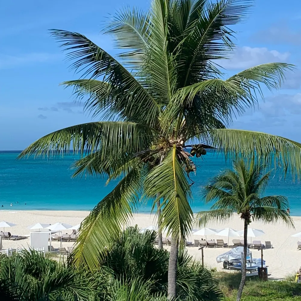 virgogirlj.bsky.social's profile picture