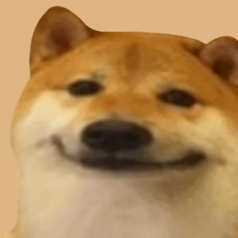 kashikukku.bsky.social's profile picture