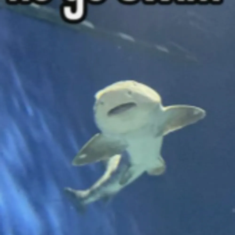 lovelytori14.bsky.social's profile picture