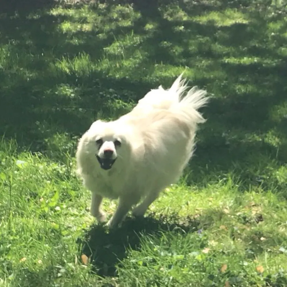 lfarrell.bsky.social's profile picture