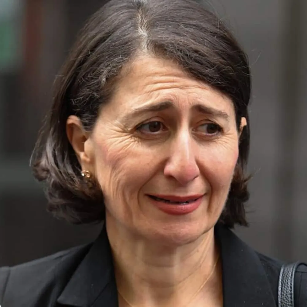 madrabbitohpj.bsky.social's profile picture