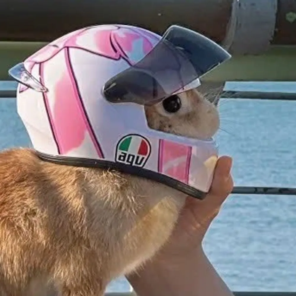 bunnymetal.bsky.social's profile picture