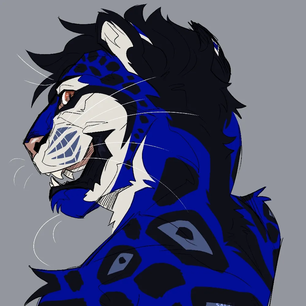 zetahl.bsky.social's profile picture