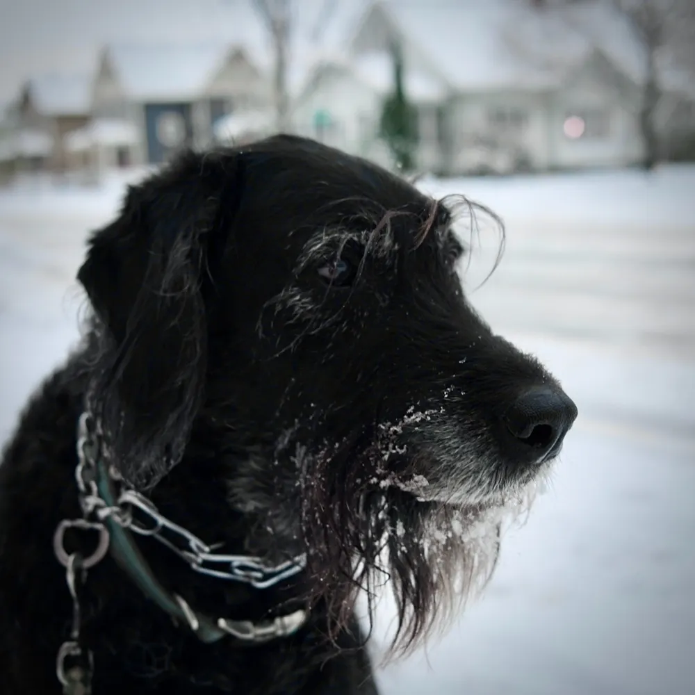 matt12l.bsky.social's profile picture