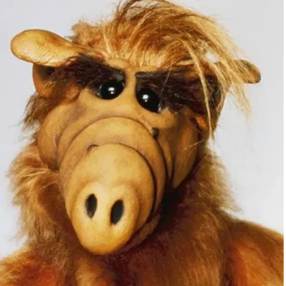 pabloconqueso.bsky.social's profile picture