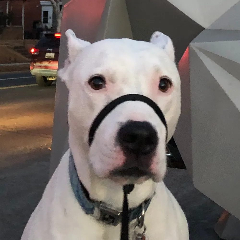 amfisher.bsky.social's profile picture