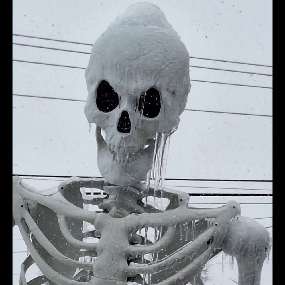 butterflyskelly.bsky.social's profile picture