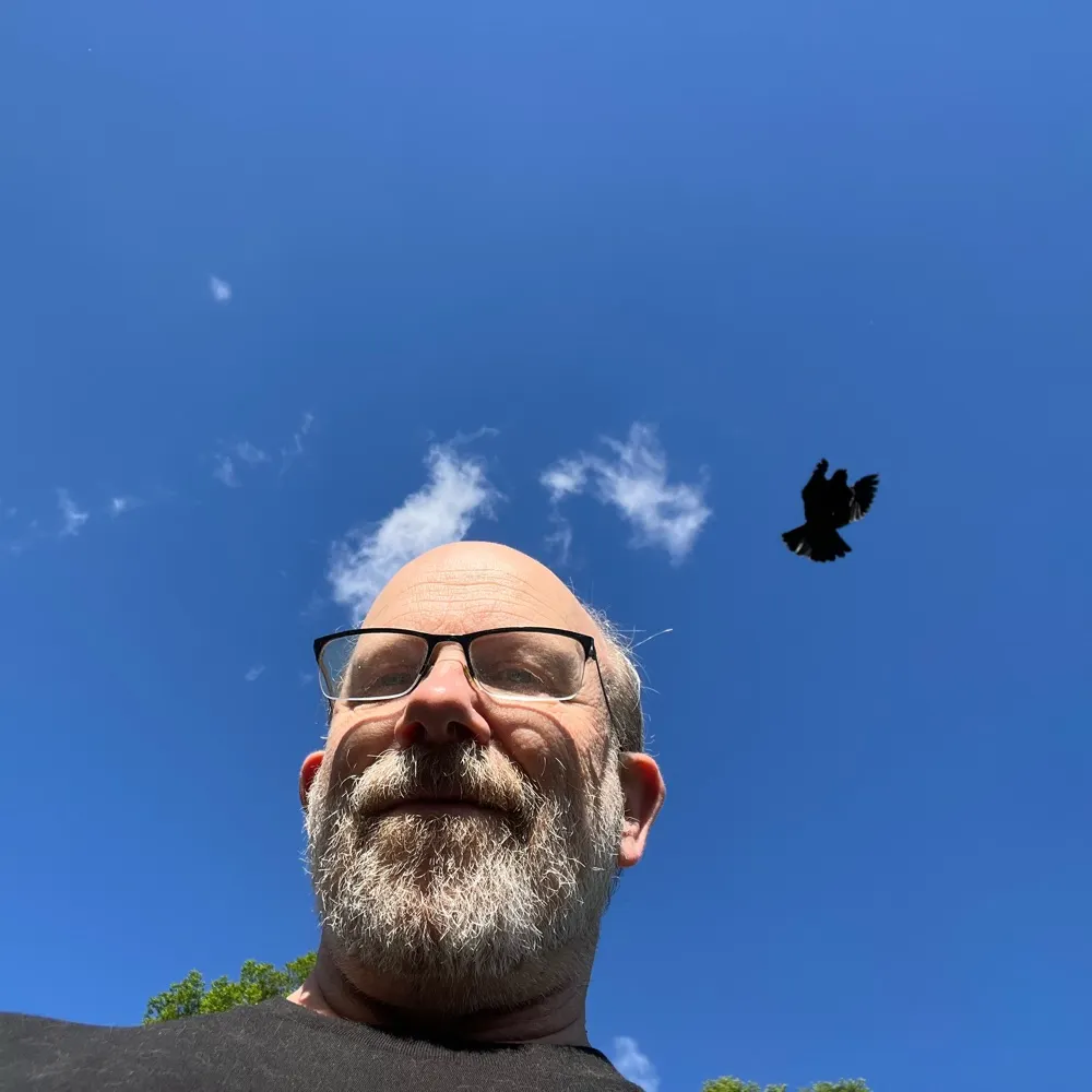 rolferd.bsky.social's profile picture